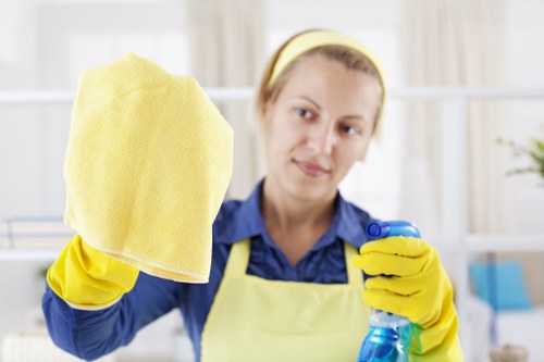Customer service review for a deep cleaning complaint