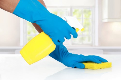 Professional deep cleaning in Croydon for a refreshed property
