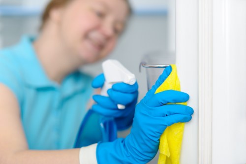 Professional sofa cleaning service for a Croydon home living room