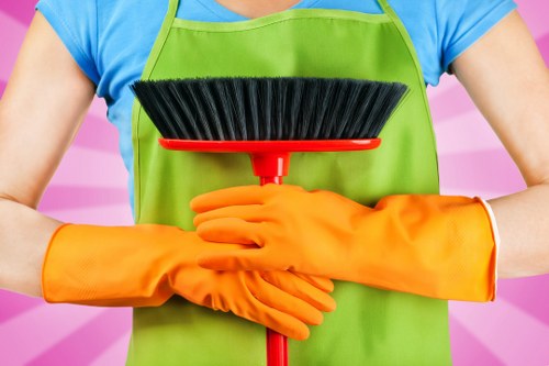 Kitchen appliance deep clean for a Croydon household