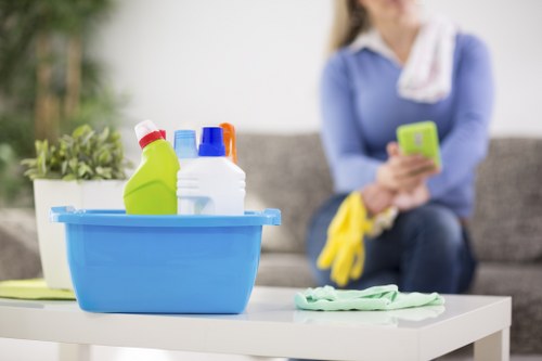 Regular domestic cleaning in a Croydon home