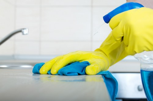Technician treating high-traffic carpet areas in Croydon
