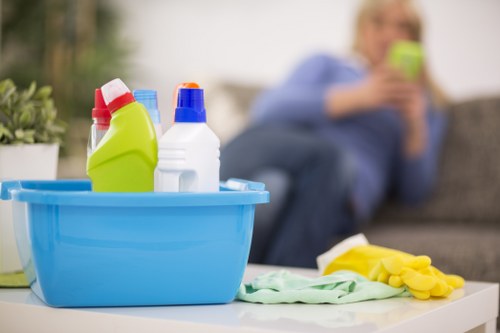 Local Croydon cleaner handling a modern apartment interior