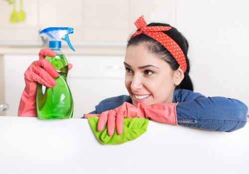 Deep carpet cleaning equipment used in a Croydon property